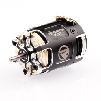 RUDDOG Racing RP542 4.5T 540 Sensored Brushless Motor