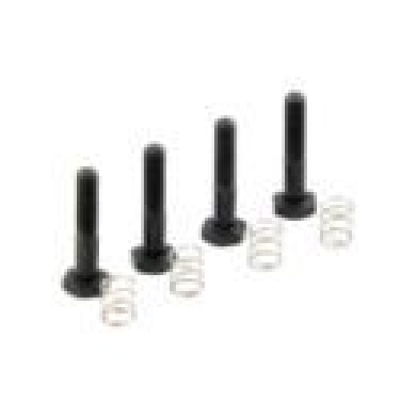 Brake springs/screws (4) (#210203)