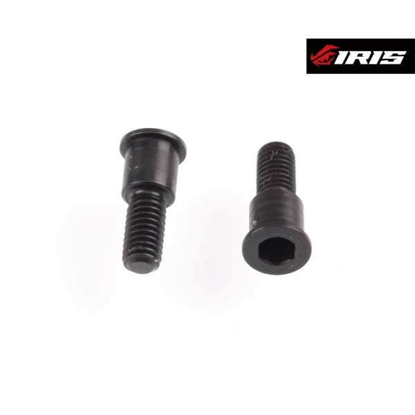 Iris Belt Bearing Screws (2pcs)